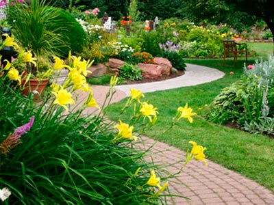 Landscape And Property Maintenance