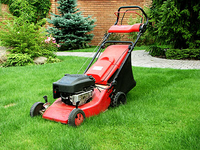 Lawn Maintenance, Fairfield, CT