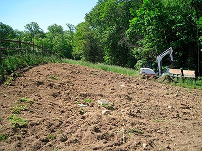 Lawn Restoration, Fairfield, CT