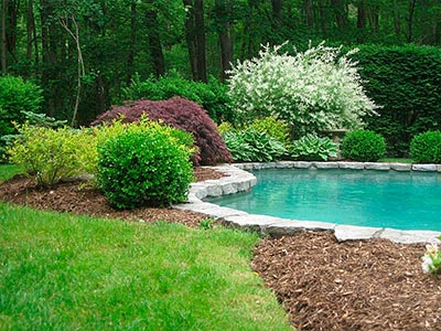 Landscape Services, Fairfield, CT